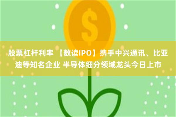 股票杠杆利率 【数读IPO】携手中兴通讯、比亚迪等知名企业 半导体细分领域龙头今日上市
