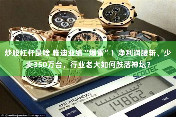 炒股杠杆是啥 雅迪业绩“爆雷”！净利润腰斩、少卖350万台，行业老大如何跌落神坛？
