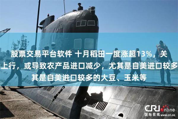 股票交易平台软件 十月稻田一度涨超13%，关税反制或推粮价上行，或导致农产品进口减少，尤其是自美进口较多的大豆、玉米等