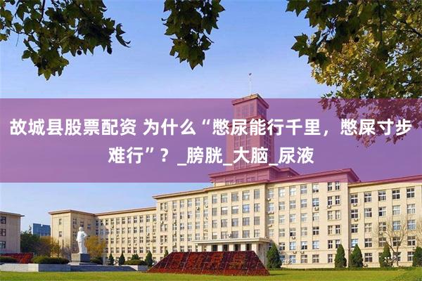 故城县股票配资 为什么“憋尿能行千里，憋屎寸步难行”？_膀胱_大脑_尿液