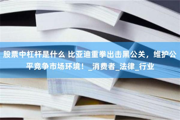 股票中杠杆是什么 比亚迪重拳出击黑公关，维护公平竞争市场环境！_消费者_法律_行业