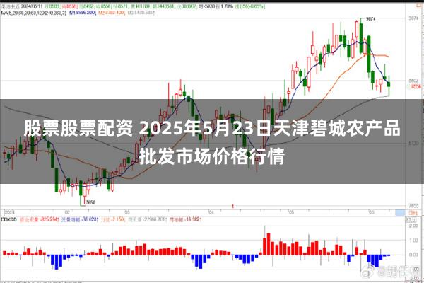 股票股票配资 2025年5月23日天津碧城农产品批发市场价格行情