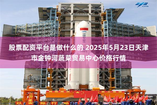 股票配资平台是做什么的 2025年5月23日天津市金钟河蔬菜贸易中心价格行情