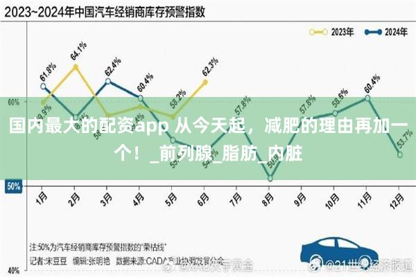 国内最大的配资app 从今天起，减肥的理由再加一个！_前列腺_脂肪_内脏
