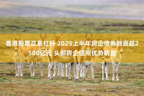 香港股票交易杠杆 2025上半年房企债券融资超2500亿元 头部房企信用优势明显