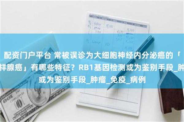 配资门户平台 常被误诊为大细胞神经内分泌癌的「肺大细胞基底样腺癌」有哪些特征？RB1基因检测或为鉴别手段_肿瘤_免疫_病例