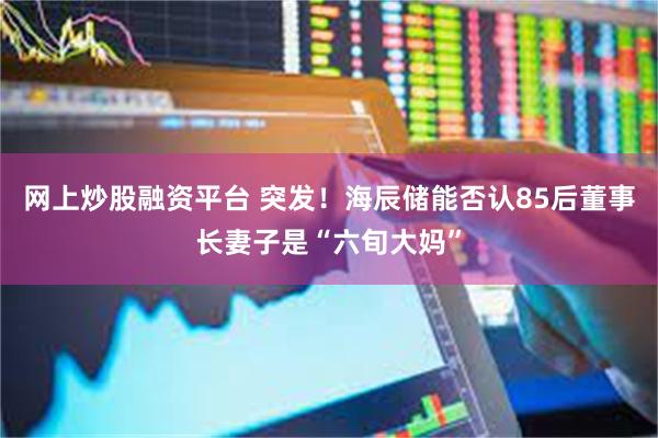 网上炒股融资平台 突发！海辰储能否认85后董事长妻子是“六旬大妈”