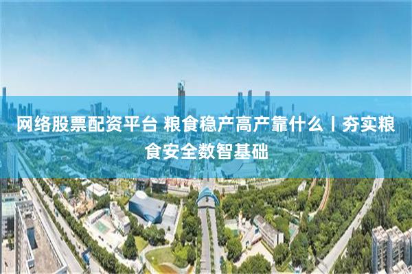 网络股票配资平台 粮食稳产高产靠什么丨夯实粮食安全数智基础