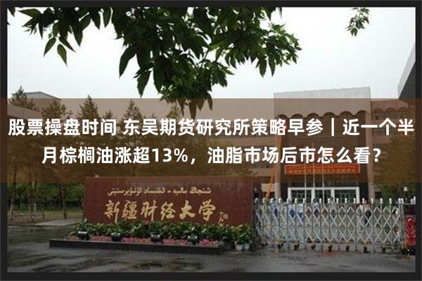 股票操盘时间 东吴期货研究所策略早参｜近一个半月棕榈油涨超13%，油脂市场后市怎么看？