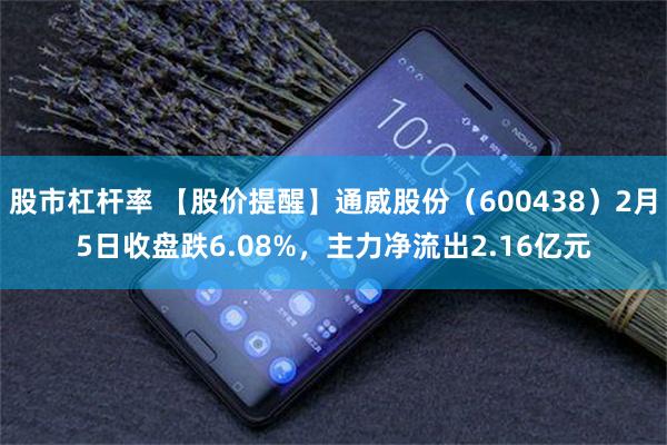 股市杠杆率 【股价提醒】通威股份（600438）2月5日收盘跌6.08%，主力净流出2.16亿元