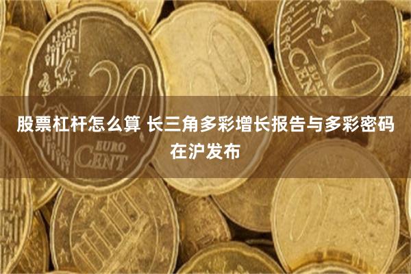 股票杠杆怎么算 长三角多彩增长报告与多彩密码在沪发布