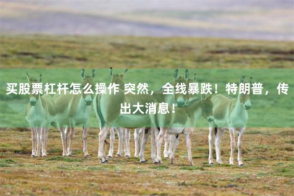 买股票杠杆怎么操作 突然，全线暴跌！特朗普，传出大消息！