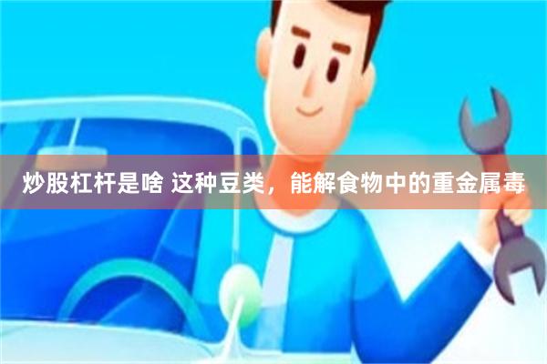 炒股杠杆是啥 这种豆类，能解食物中的重金属毒