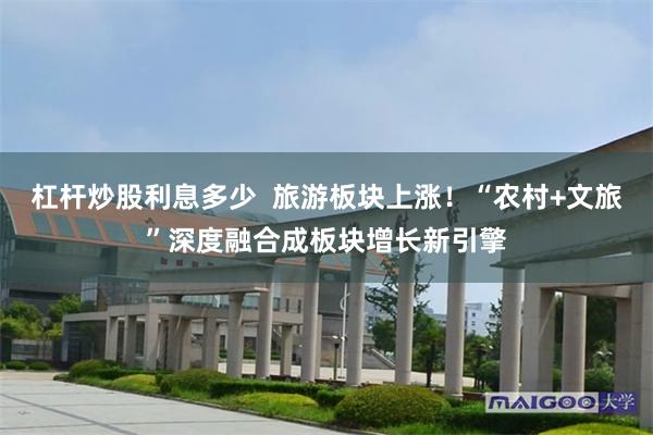 杠杆炒股利息多少  旅游板块上涨！“农村+文旅”深度融合成板块增长新引擎