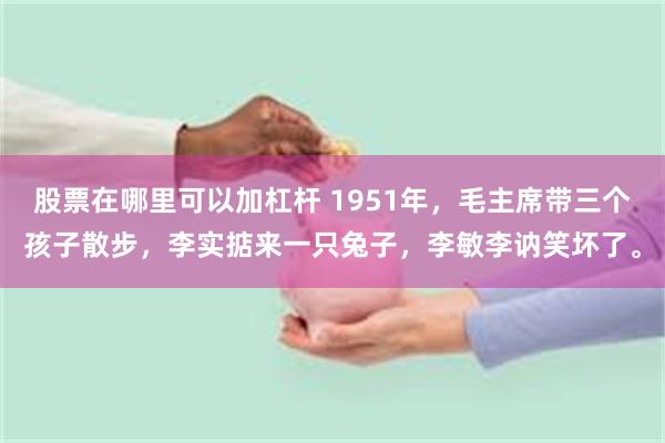 股票在哪里可以加杠杆 1951年，毛主席带三个孩子散步，李实掂来一只兔子，李敏李讷笑坏了。