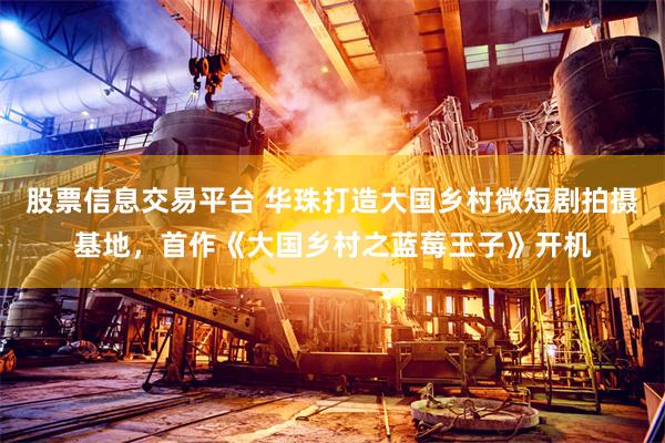 股票信息交易平台 华珠打造大国乡村微短剧拍摄基地，首作《大国乡村之蓝莓王子》开机