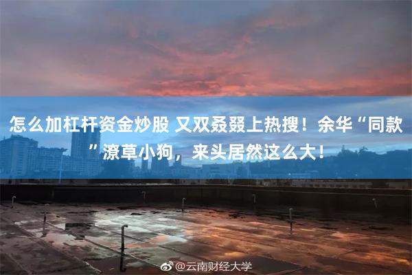 怎么加杠杆资金炒股 又双叒叕上热搜！余华“同款”潦草小狗，来头居然这么大！