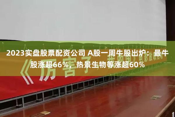 2023实盘股票配资公司 A股一周牛股出炉：最牛股涨超66%，热景生物等涨超60%