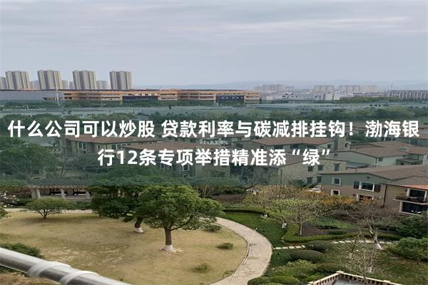 什么公司可以炒股 贷款利率与碳减排挂钩！渤海银行12条专项举措精准添“绿”