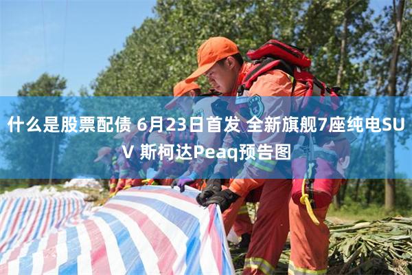 什么是股票配债 6月23日首发 全新旗舰7座纯电SUV 斯柯达Peaq预告图