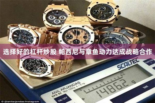 选择好的杠杆炒股 帕西尼与章鱼动力达成战略合作