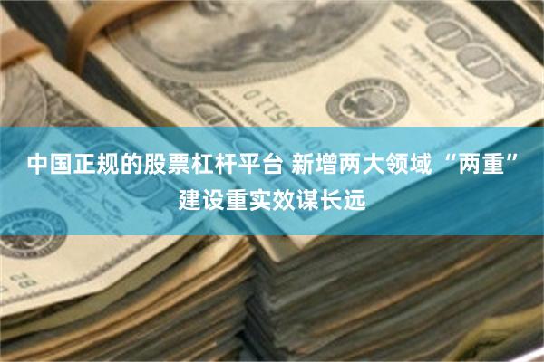 中国正规的股票杠杆平台 新增两大领域 “两重”建设重实效谋长远