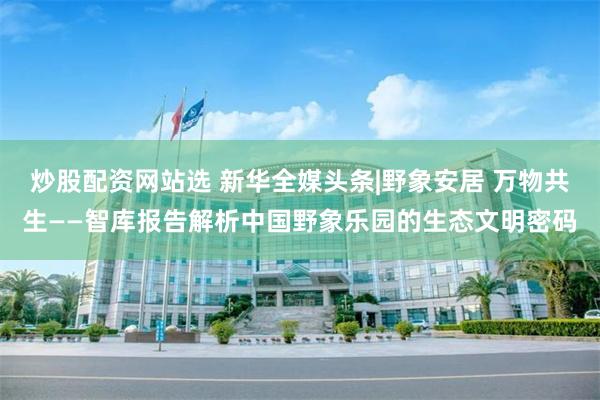 炒股配资网站选 新华全媒头条|野象安居 万物共生——智库报告解析中国野象乐园的生态文明密码