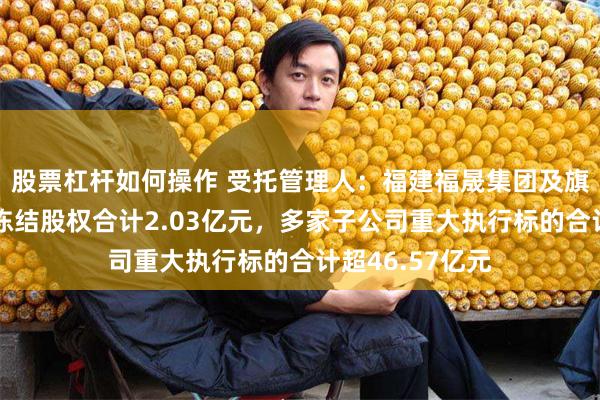 股票杠杆如何操作 受托管理人：福建福晟集团及旗下公司新增被冻结股权合计2.03亿元，多家子公司重大执行标的合计超46.57亿元