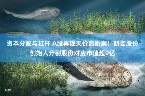 资本分配与杠杆 A股再现天价离婚案！朗姿股份创始人分割股份对应市值超9亿