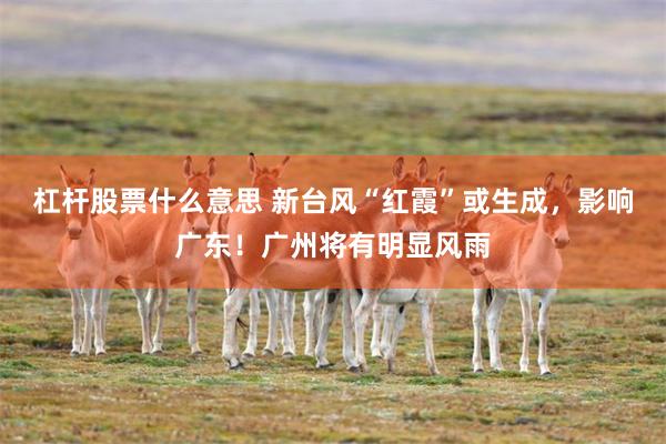 杠杆股票什么意思 新台风“红霞”或生成，影响广东！广州将有明显风雨