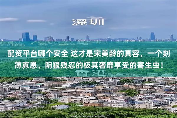 配资平台哪个安全 这才是宋美龄的真容，一个刻薄寡恩、阴狠残忍的极其奢靡享受的寄生虫！
