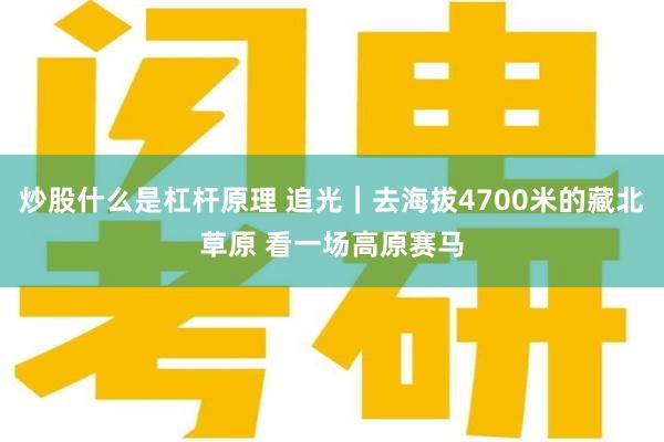 炒股什么是杠杆原理 追光｜去海拔4700米的藏北草原 看一场高原赛马
