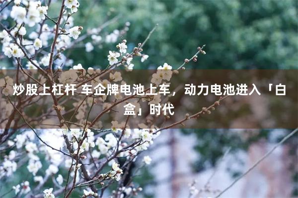 炒股上杠杆 车企牌电池上车，动力电池进入「白盒」时代
