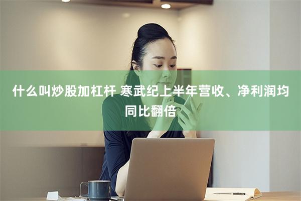 什么叫炒股加杠杆 寒武纪上半年营收、净利润均同比翻倍