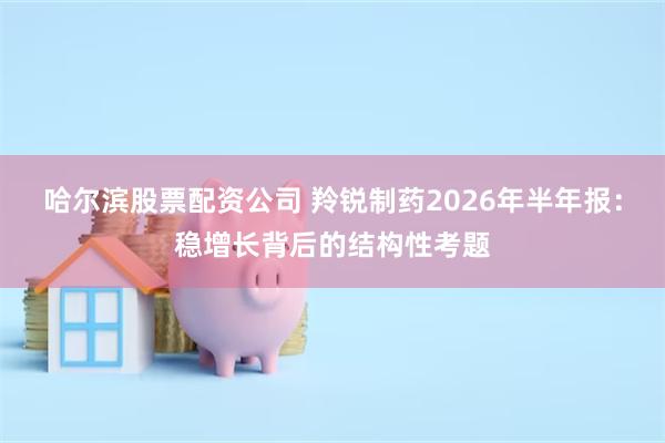 哈尔滨股票配资公司 羚锐制药2026年半年报：稳增长背后的结构性考题