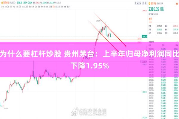 为什么要杠杆炒股 贵州茅台：上半年归母净利润同比下降1.95%