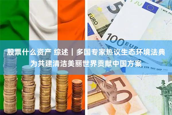 股票什么资产 综述｜多国专家热议生态环境法典为共建清洁美丽世界贡献中国方案