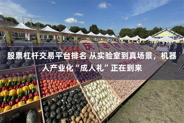 股票杠杆交易平台排名 从实验室到真场景，机器人产业化“成人礼”正在到来