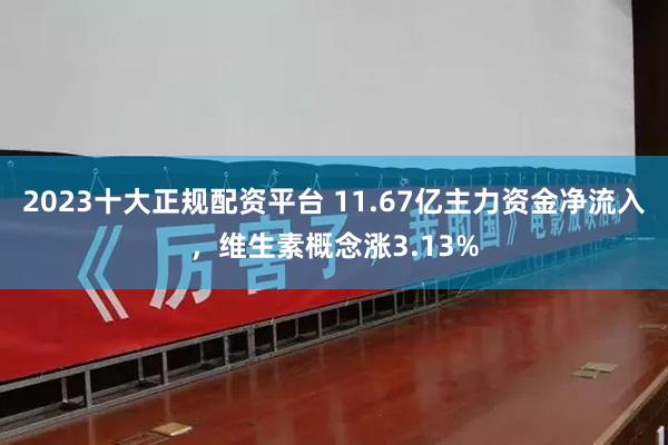 2023十大正规配资平台 11.67亿主力资金净流入，维生素概念涨3.13%