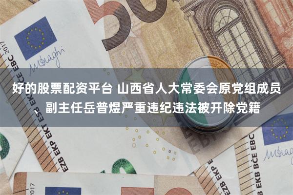 好的股票配资平台 山西省人大常委会原党组成员、副主任岳普煜严重违纪违法被开除党籍