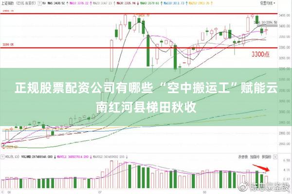 正规股票配资公司有哪些 “空中搬运工”赋能云南红河县梯田秋收