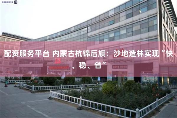 配资服务平台 内蒙古杭锦后旗：沙地造林实现“快、稳、省”