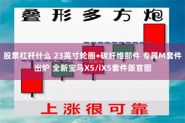 股票杠杆什么 23英寸轮圈+碳纤维部件 专属M套件出炉 全新宝马X5/iX5套件版官图