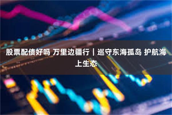 股票配债好吗 万里边疆行｜巡守东海孤岛 护航海上生态