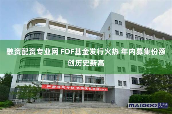 融资配资专业网 FOF基金发行火热 年内募集份额创历史新高
