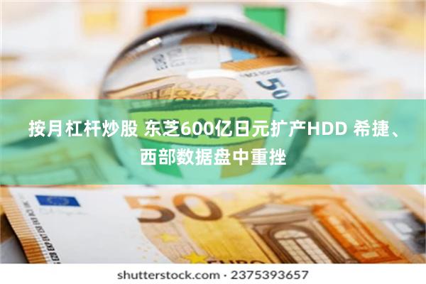 按月杠杆炒股 东芝600亿日元扩产HDD 希捷、西部数据盘中重挫
