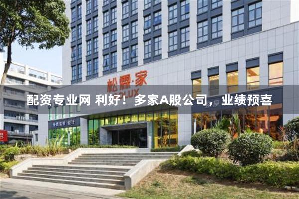 配资专业网 利好！多家A股公司，业绩预喜