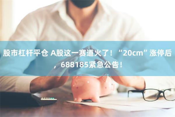 股市杠杆平仓 A股这一赛道火了！“20cm”涨停后，688185紧急公告！