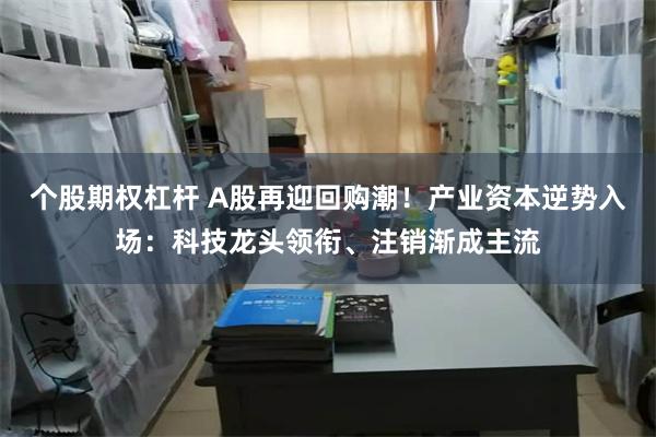 个股期权杠杆 A股再迎回购潮！产业资本逆势入场：科技龙头领衔、注销渐成主流