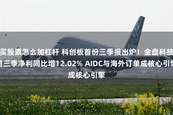 买股票怎么加杠杆 科创板首份三季报出炉!金盘科技前三季净利同比增12.02% AIDC与海外订单成核心引擎
